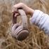 Skullcandy Crusher® ANC 2 Wireless Headphones – Primer