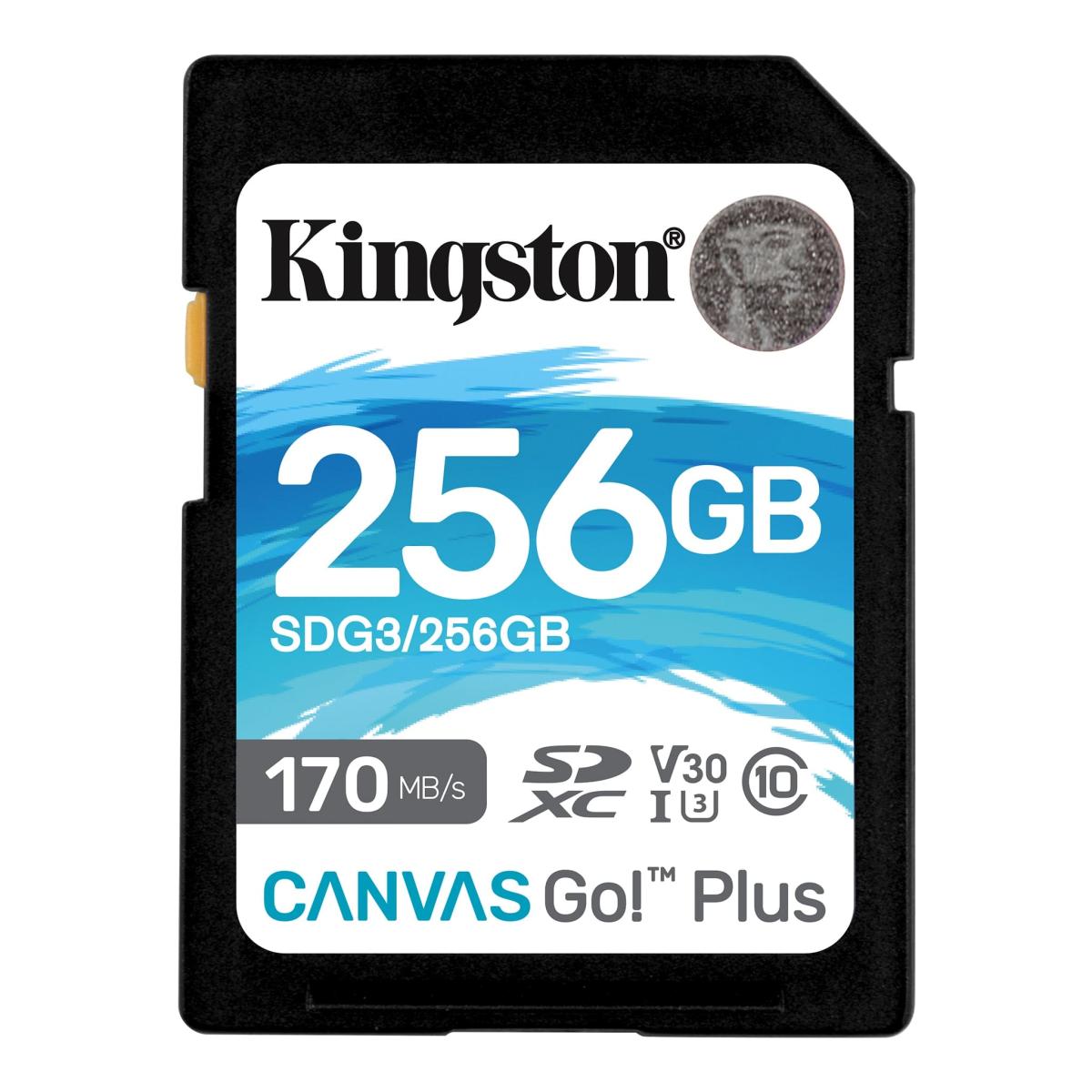 Kingston Canvas Go! Plus SD Memory Card 256GB