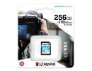 Kingston Canvas Go! Plus SD Memory Card 256GB