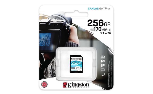 Kingston Canvas Go! Plus SD Memory Card 256GB